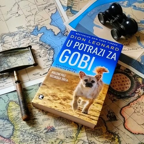Recenzija: “U potrazi za Gobi: Maleni pas velikoga srca”, Dion Leonard