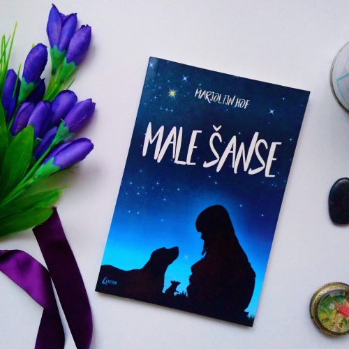 Recenzija: “Male šanse”, Marjolijn  Hof
