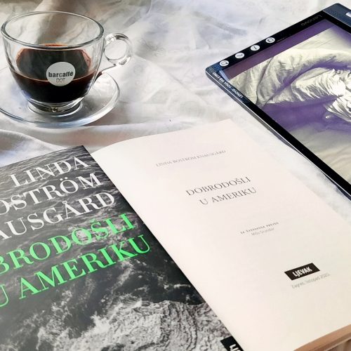 Recenzija: “Dobrodošli u Ameriku”, Linda Boström Knausgård